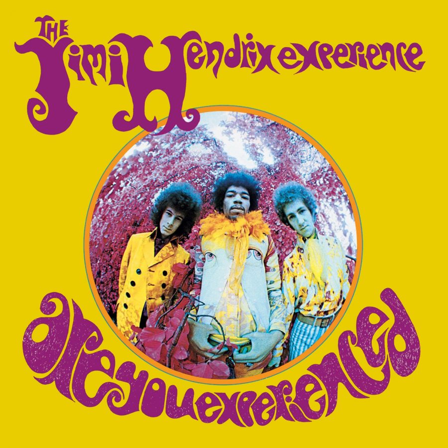 Are+You+Experienced%3F