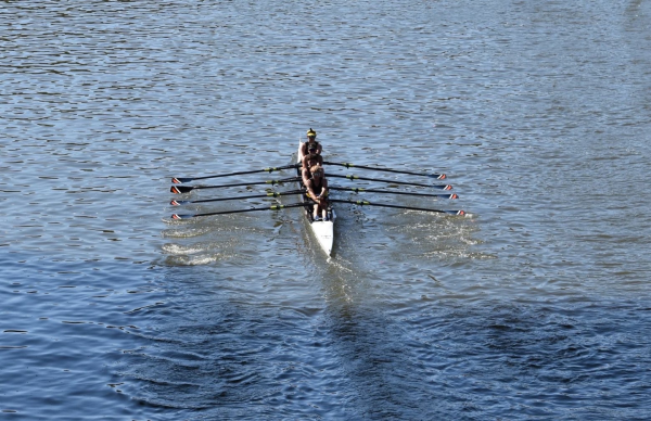 Eagle Rowing is So Back 