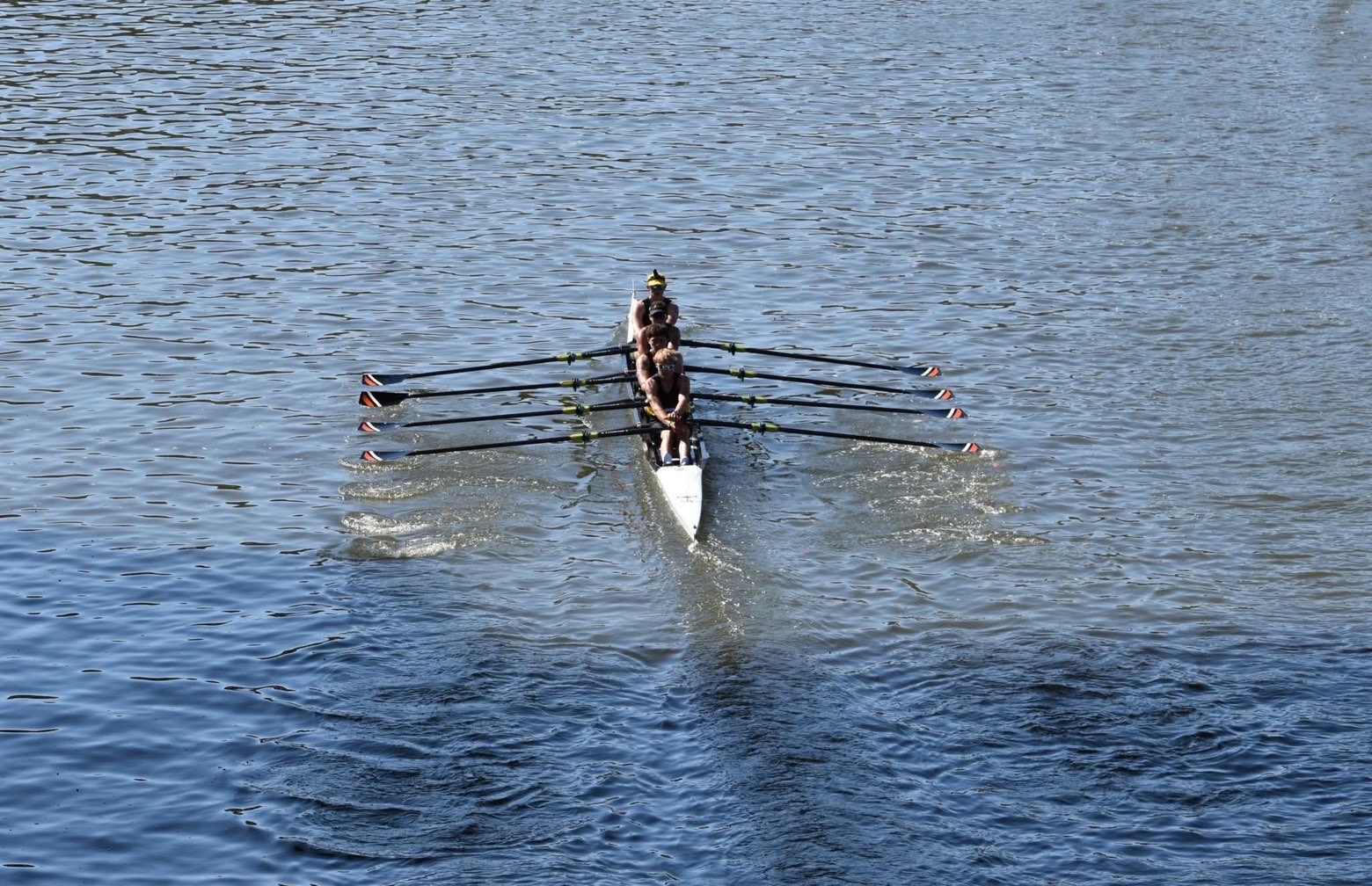 Eagle Rowing is So Back 
